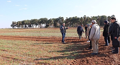 Büyükşehir Belediyesi, Çiftçilere Anıza Ekim Yöntemleri Eğitimi Verdi