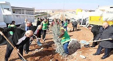 Karaköprü'de Ağaçlandırma Faaliyetleri Sürüyor