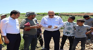 Tanal, Mevsimlik Tarım İşçilerini Yine Meclis’e Taşıdı