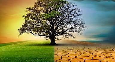 Türkiye’nin İlk İklim Kanun Geliyor!