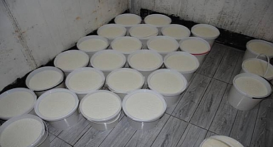 Urfa’da Sağlıksız Koşullarda Üretı̇len 120 Kova Yoğurt Ele Geçirildi