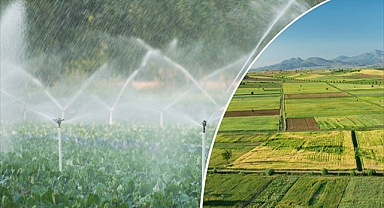 Çiftçilere Müjde: Destek Ödemesi Hesaplara Aktarılıyor