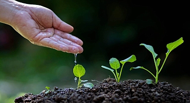 Dünya Su Günü: Su Kıtlığına Karşı Küresel Eylem Çağrısı