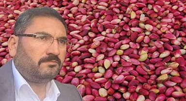 Fıstık Üreticileri Birliği Başkanı Faruk Akbaş, Yatırımcılara Çağrıda Bulundu
