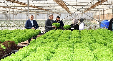 Harran Üniversitesinde İlk Mahsullerin Hasadı Yapıldı