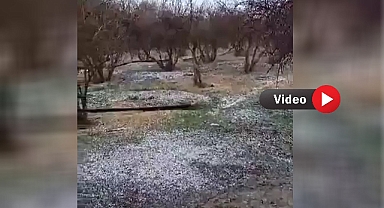 Şanlıurfa'da Dolu Yağışı Etkili Oldu
