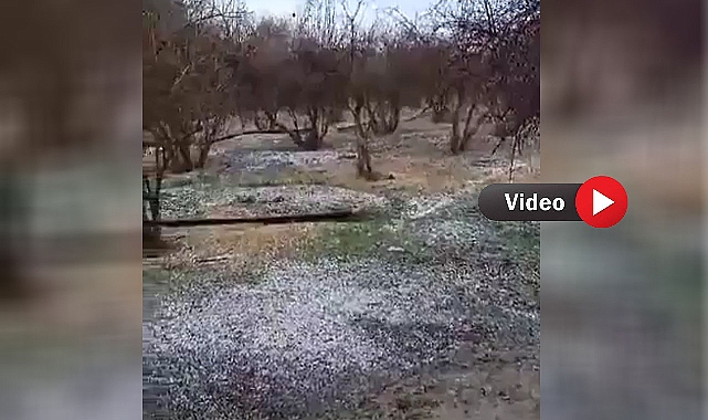 Şanlıurfa'da Dolu Yağışı Etkili Oldu