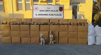 Şanlıurfa’da Tonlarca Kaçak Ürün Ele Geçirildi!