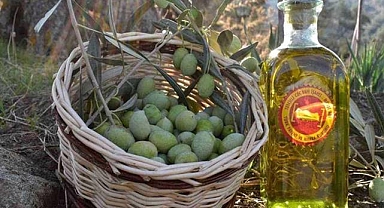 Türkiye Zeytini Avrupa Pazarında Güçleniyor