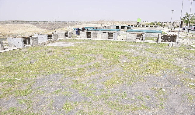 Ceylanpınar’da Sahipsiz Sokak Hayvanları İçin Geçici Barınak Yapılıyor 