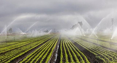 DSİ’den Yapay Zeka Destekli Sulama Otomasyonu Hamlesi