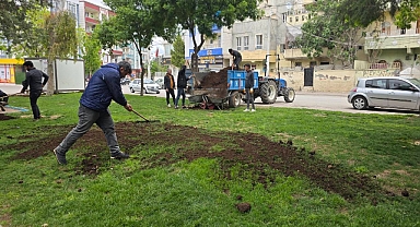 Eyyüpkent Parkları Yaza Hazır
