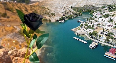 Halfeti'de Kara Gül Hasadı Başladı