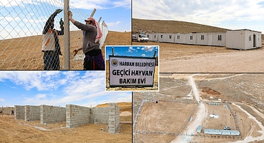 Harran’da Hayvan Bakım Evi Ve Doğal Yaşam Alanı İnşa Ediliyor