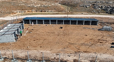 Harran’da Hayvan Bakım Evi ve Doğal Yaşam Alanı Kısa Sürede Hizmete Açılacak