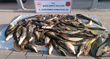 Hilvan’da Kaçak Balık Operasyonu: Yüklü Miktarda Av Ele Geçirildi