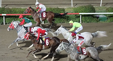 Kurtuluş Koşusunu ‘Hedbe’ Kazandı 