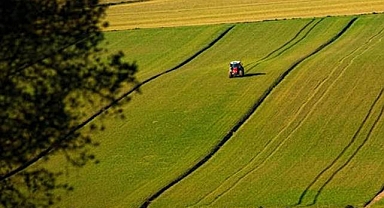 Milyon Liralık Destekleme Ödemesi Hesaplara Aktarılıyor