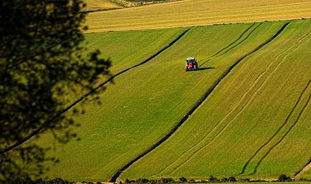 Milyon Liralık Destekleme Ödemesi Hesaplara Aktarılıyor