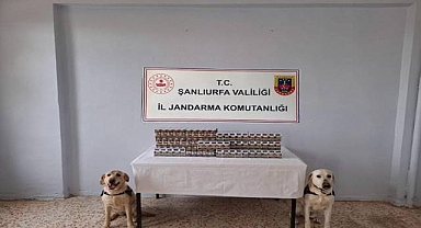 Şanlıurfa’da Jandarmadan Kaçak Sigara Operasyonu!