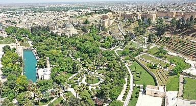 Şanlıurfa'da Kaç Mahalle Var?