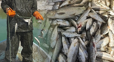 Şanlıurfa’da Su Ürünleri Av Yasağı Başladı