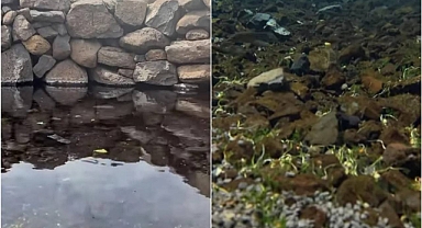 Siverek’in Doğal Akvaryumu Kaniya Reş Görenleri Büyülüyor!