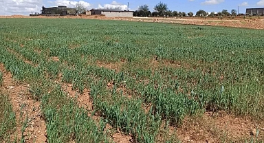 Topçu Gündaş Sulama Birliği'nin Suyu Bırakmaması Çiftçileri Zor Durumda Bıraktı