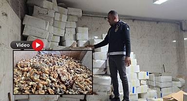 Urfa’da Baklava İmalathanesine Baskın: Tonlarca Bozuk Ceviz Ele Geçirildi