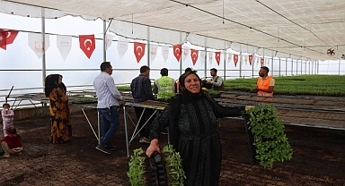 Urfa’da Çiftçilere Binlerce Urfa Biberi Fidesi Dağıtıldı 