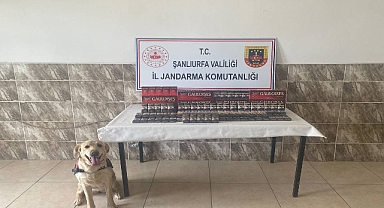 Viranşehir’de Jandarmadan Kaçak Sigara Operasyonu! 