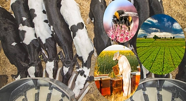 5.1 Milyar Liralık Destekleme Ödemesi Hesaplara Aktarılıyor