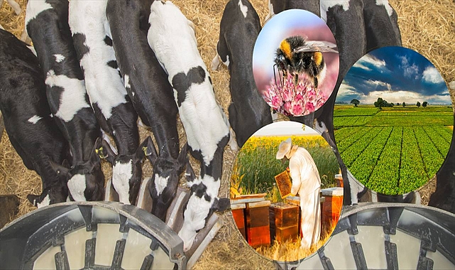 5.1 Milyar Liralık Destekleme Ödemesi Hesaplara Aktarılıyor