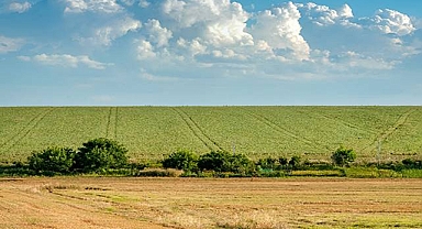 Atıl Araziler İçin Mülkiyet Hakları Belirleniyor: 5 Milyon Kişi Etkilenecek