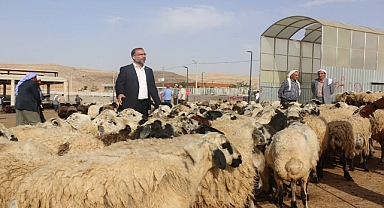 Başkan Polat: Hayvancılık Göz Göre Göre Çöküyor!