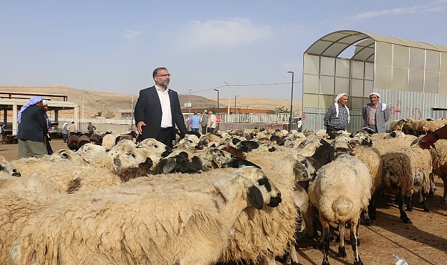 Başkan Polat: Hayvancılık Göz Göre Göre Çöküyor!