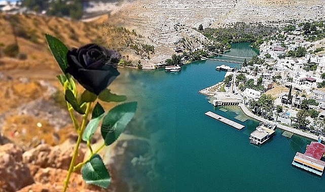 Bilim Bile Şaşkın: Siyah Gül Neden Sadece Halfeti'de Yetişiyor?