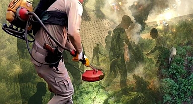 Dev Operasyon: 70 Ton Toz Esrara Eşdeğer Kenevir Ele Geçirildi