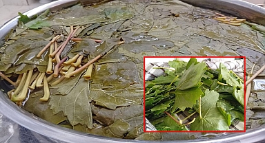 Kuraklık Asma Yapraklarını Vurdu: Urfa'nın Yaprak İhtiyacı İzmir'den Karşılanıyor