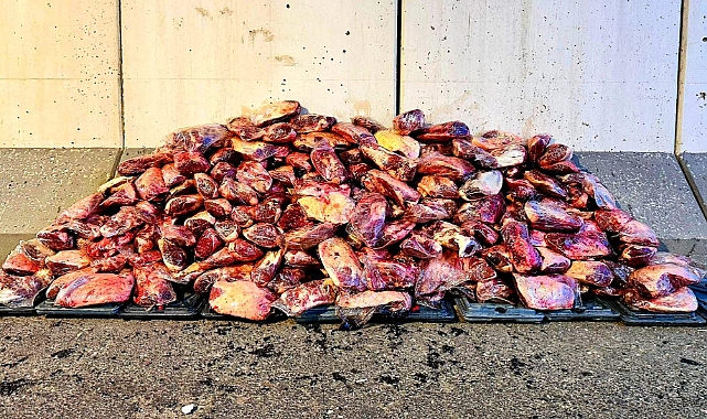 Şanlıurfa’da 1.7 Ton Kaçak Et Ele Geçirildi