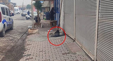 Şanlıurfa'da Fırınlardaki Hijyen Skandalı: Temizlik Bezi Şok Etti!