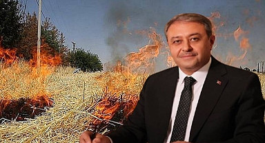 Şanlıurfa’da Hububat Hasadı Başladı: Vali Şıldak’tan Üreticilere Uyarı! 