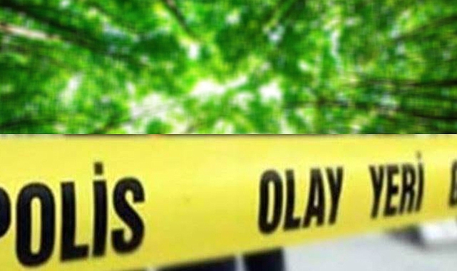 Şanlıurfa’da Korkunç Olay: 1 Şahıs Ormanlık Alanda Ölü Bulundu 