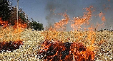 Şanlıurfa'da Ot Yangınları Arttı: İtfaiyeden Duyarlılık Çağrısı