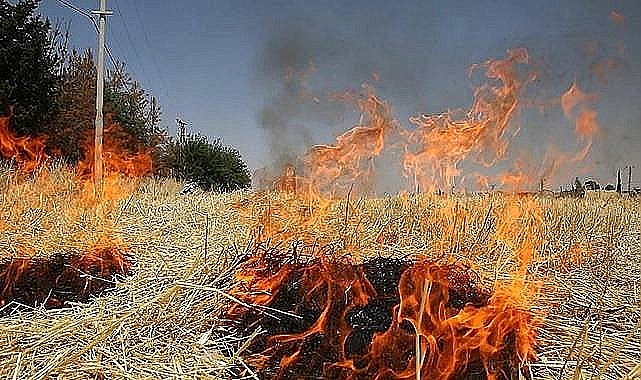 Şanlıurfa'da Ot Yangınları Arttı: İtfaiyeden Duyarlılık Çağrısı