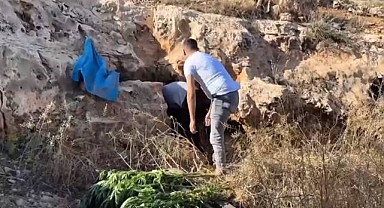 Şanlıurfa’da Uyuşturucu Operasyonu! 