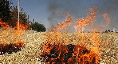 Şanlıurfa Valiliği'nden Uyarı: Bunu Yapan Çiftçiler Yandı
