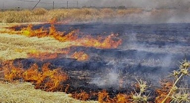 Şanlıurfalı Çiftçilere Önemli Uyarı!