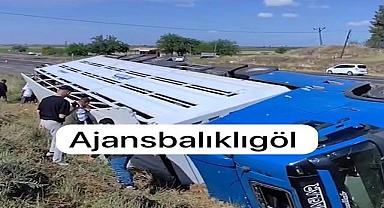 Siverek’te Canlı Hayvan Yüklü Tır Devrildi: 1 Yaralı