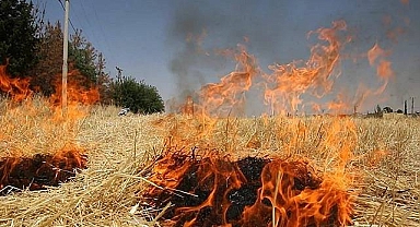 TEMA'dan Uyarı: Anız Yakmak Toprağı ve Geleceği Yok Ediyor